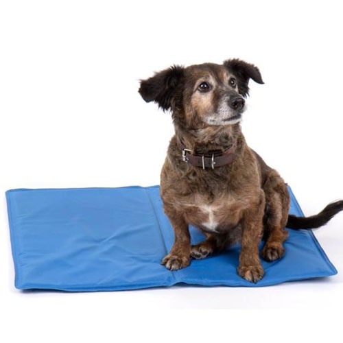 Camp4 kølemåtte til hunde