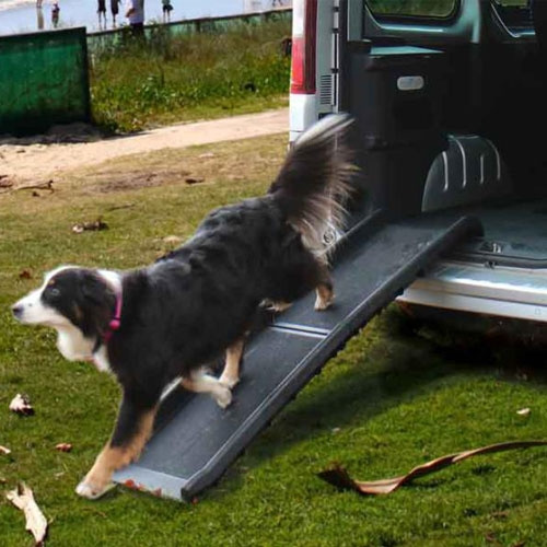 Camp4 Hunderampe Zora i gruppen Campingvogn og autocamper / van og Autocamper / Øvrigt hos Campmarket (69934)