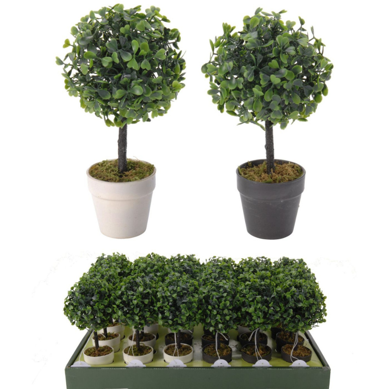 Buxbom Lille Plast i gruppen Hjem og indretning / Udsmykning & Velvære hos Campmarket (78251)