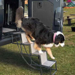 Camp4 Hundestige Jil Sammenklappelig Camp4 Hundestige Jil Sammenklappelig