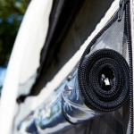 Isabella Commodore Dawn