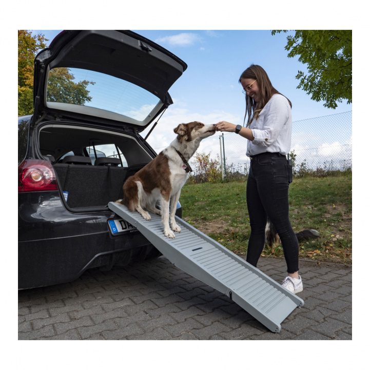 Camp4 Plastikrampe til hunden Emma i gruppen Øvrigt / Til kæledyr hos Campmarket (79182)