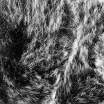 Royal Camping Plaid Amalia Grå 130x170 cm Royal Camping Plaid Amalia Grå 130x170 cm