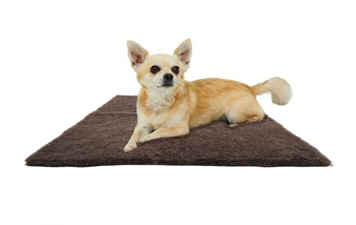 Canis Vetbed S 75x60 cm i gruppen Øvrigt / Til kæledyr hos Campmarket (82844)