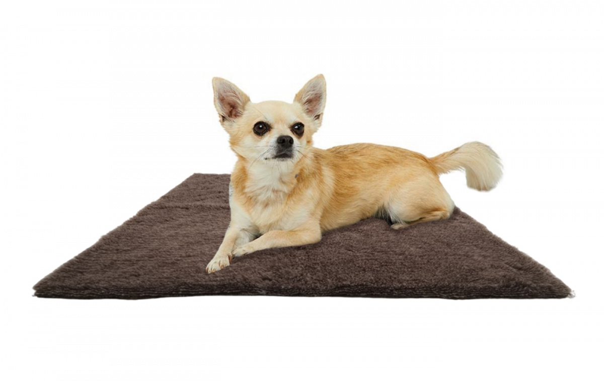 Canis Vetbed L 100x150 cm i gruppen Øvrigt / Til kæledyr hos Campmarket (82846)