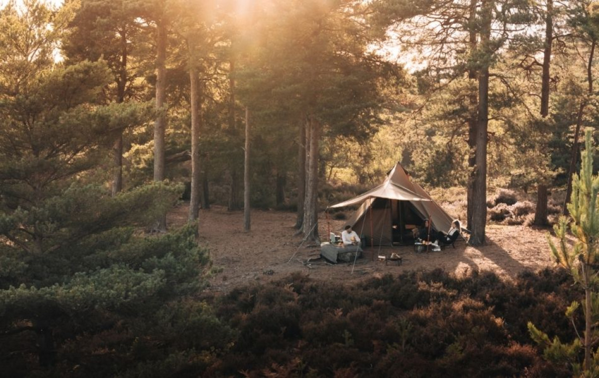 Kampa Pineveil 04 i gruppen Outdoor / Camping telt hos Campmarket (82932)