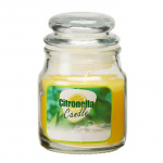 Citronella Myggelys i Glasbeholder