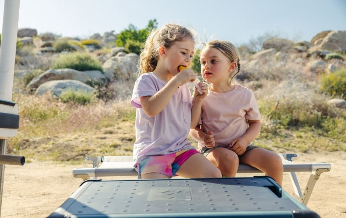 Dometic Kompressor-køleboks CFX2 45L i gruppen Campingvogn og autocamper / Varme & Køling / Køleskabe & Kølebokse / Kølebokse hos Campmarket (83788)